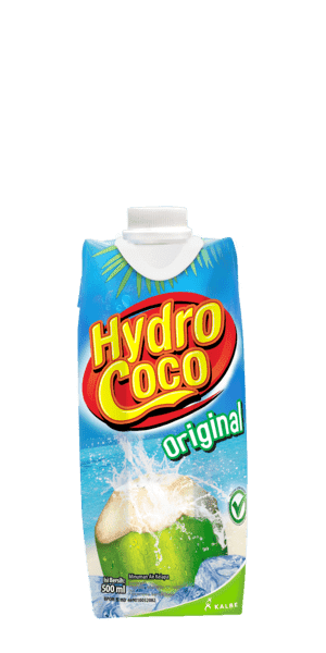 Hydro Coco 500 ml